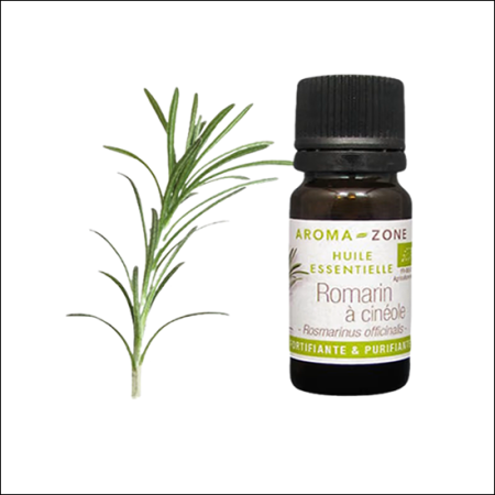 Romarin à Cinéole en 30 ml