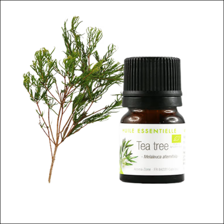 Tea tree en  250ml