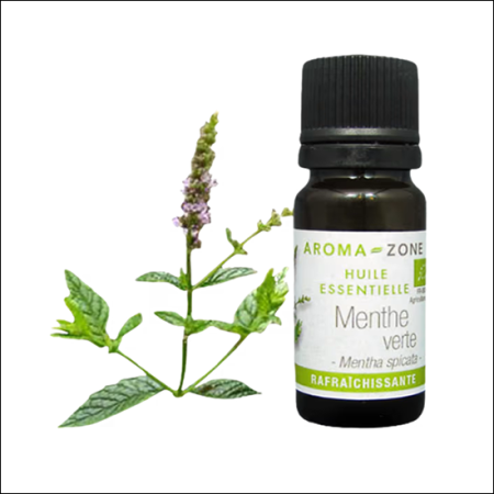 Menthe Verte en 10 ml